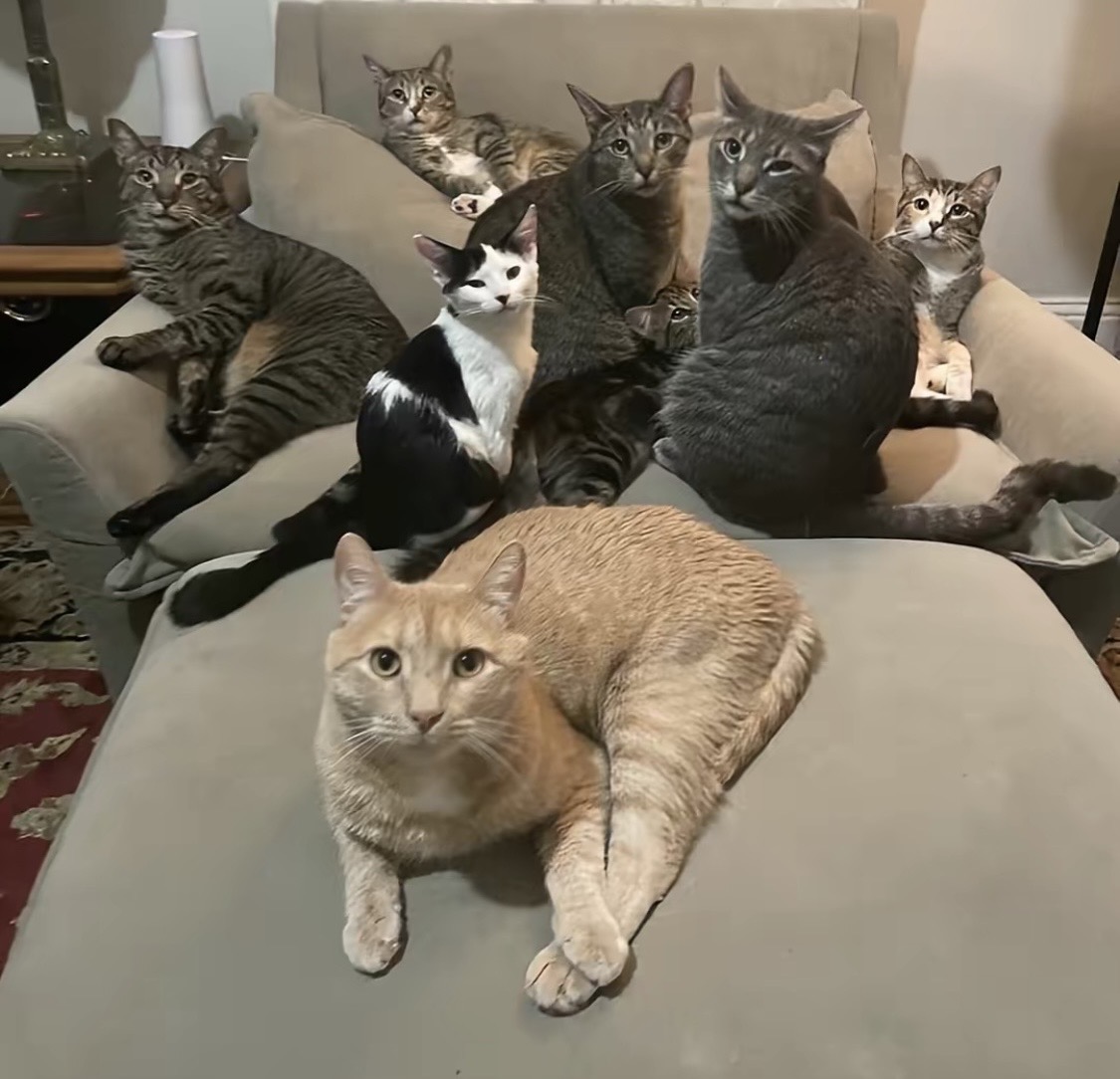 The whole family together